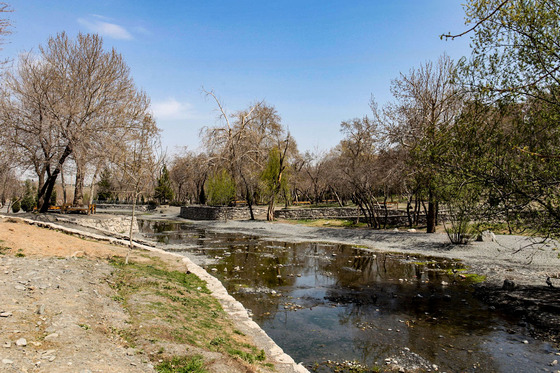 بوستان وکیل آباد در روز طبیعت
