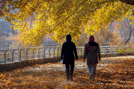 طبیعت پاییزی بوستان های مشهد