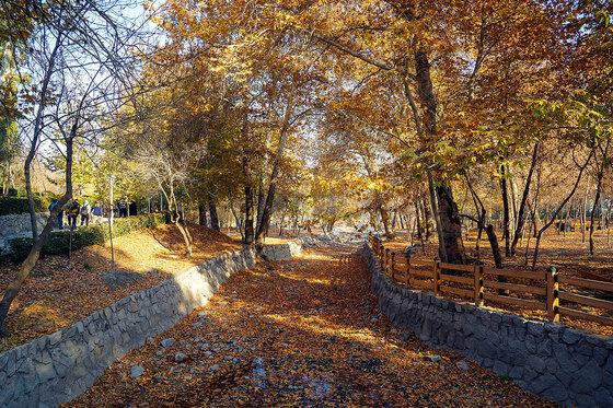 طبیعت پاییزی بوستان های مشهد