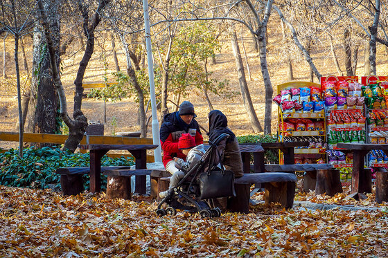 طبیعت پاییزی بوستان های مشهد