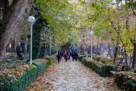 طبیعت پاییزی بوستان های مشهد