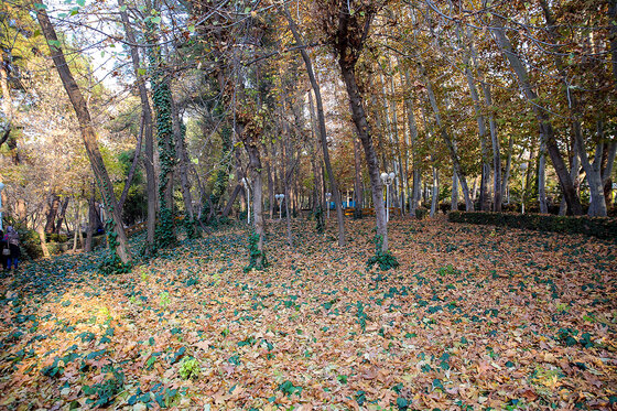 طبیعت پاییزی بوستان های مشهد