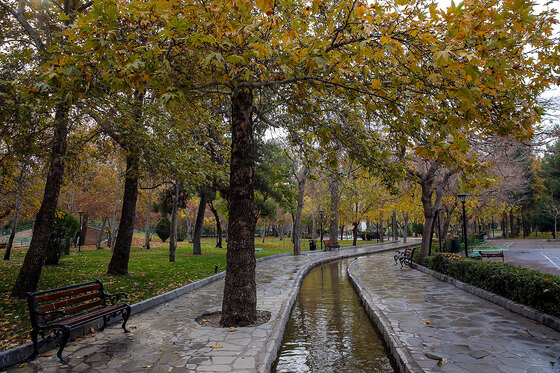 طبیعت پاییزی بوستان های مشهد