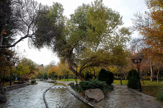 طبیعت پاییزی بوستان های مشهد