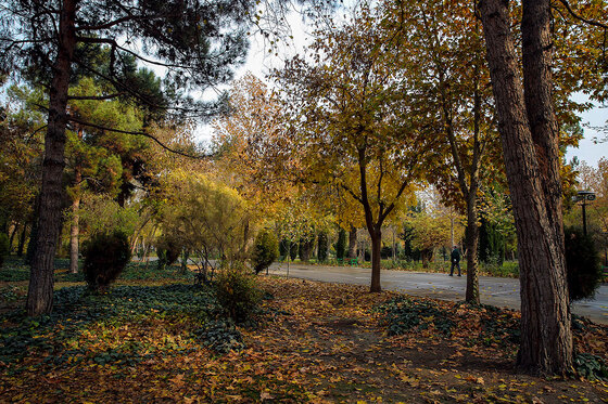 طبیعت پاییزی بوستان های مشهد