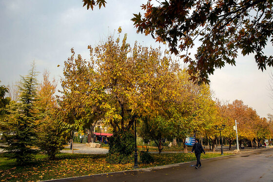 طبیعت پاییزی بوستان های مشهد