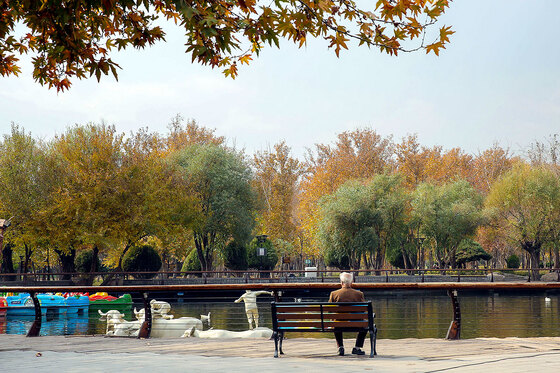 طبیعت پاییزی بوستان های مشهد
