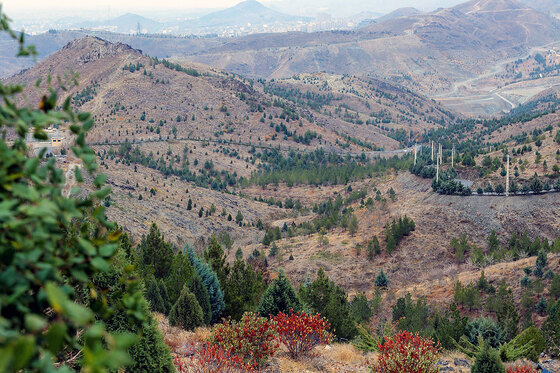 طبیعت پاییزی بوستان های مشهد