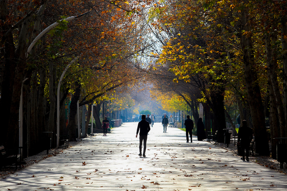 طبیعت پاییزی در مشهد