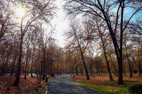 طبیعت پاییزی در مشهد