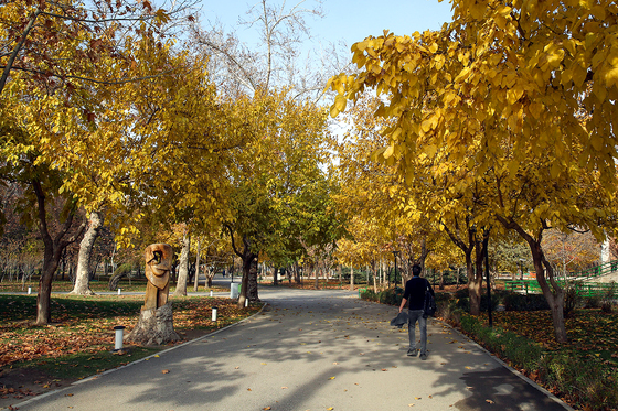 طبیعت پاییزی در مشهد