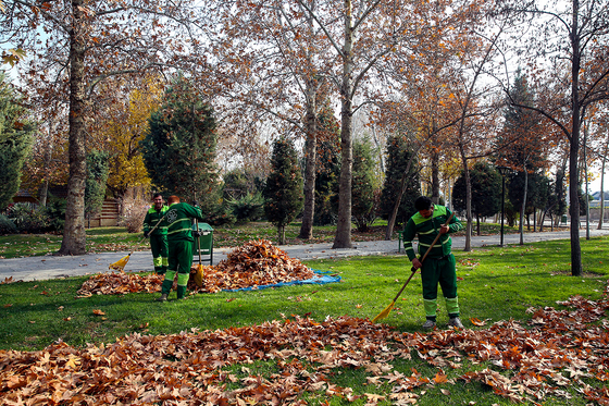 طبیعت پاییزی در مشهد