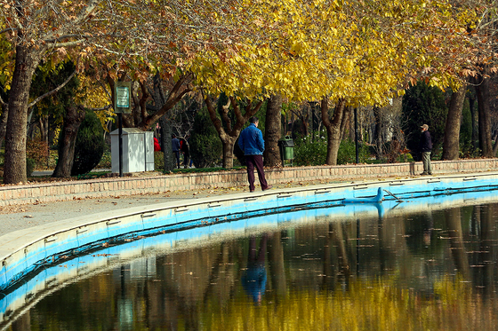 طبیعت پاییزی در مشهد