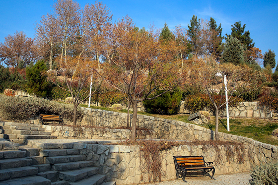 طبیعت پاییزی در مشهد