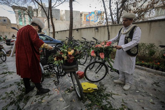شادپیمایی گل در سطح محلات مشهد