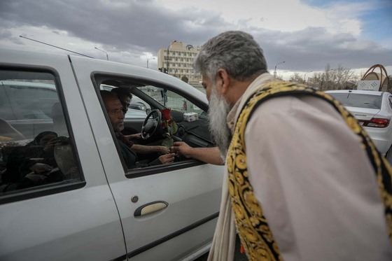 شادپیمایی گل در سطح محلات مشهد