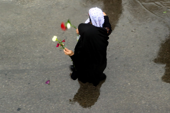 گلباران حرم رضوی