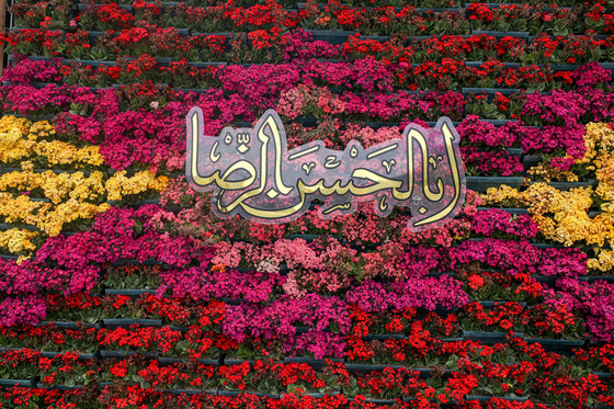 گل آرایی حرم مطهر رضوی در دهه کرامت 