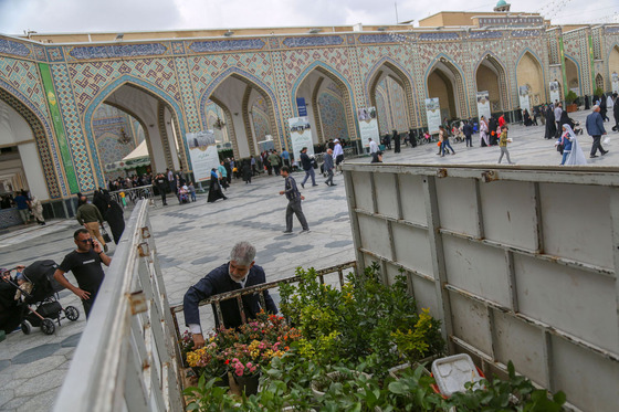 گل آرایی حرم مطهر رضوی در دهه کرامت 