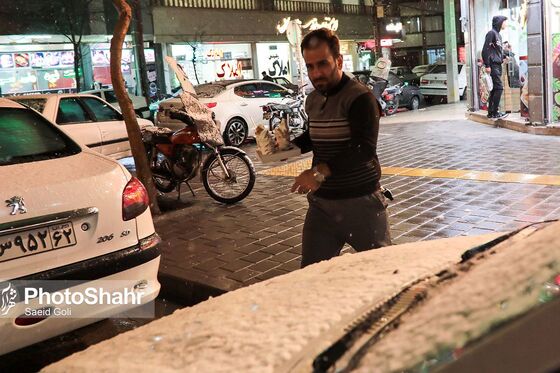 بارش برف در مشهد