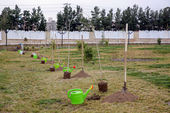 شهرتکانی