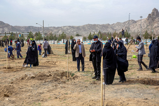 پویش سراسری درخت‌کاری