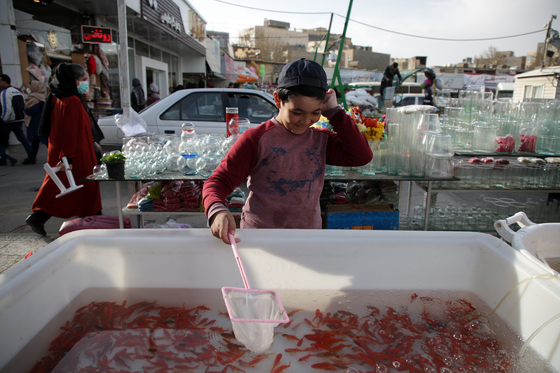 بازار گل در آستانه سال نو
