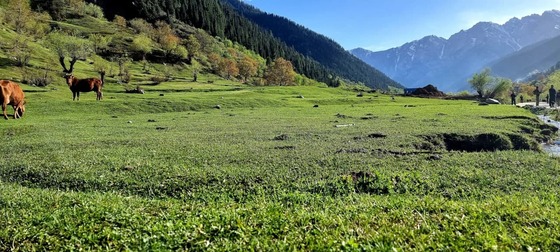 ولایت نورستان در غرب افغانستان